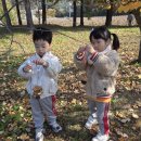 2025.11.05 근로복지공단 영주어린이집-초록샘 이미지