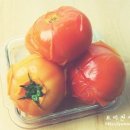디자인토마토 이미지