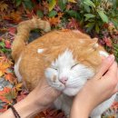 남천동물병원 이미지