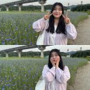 수레메밀소바 | 1째주ㅣ효자역 신곡새빛정원 수레국화ㅣ논산 선샤인...바시트ㅣ매드블럭 볼링장ㅣ오오구 봉명점ㅣ반월소바