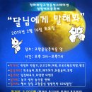 신탄진 현도교밑 이미지