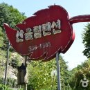 산울림펜션 - 홍천군 공작산로 1859 | 산울림펜션