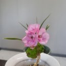만능열쇠