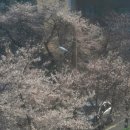 04.04 천하제빵 정남미 구황작물빵 / 씹어먹는 멀티비타민 오메가3 후기 / 먹기위해 운동하는 삶이랄까