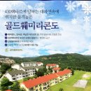 와이에스인베스트먼트 이미지