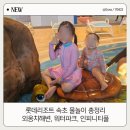롯데리조트 속초 | 롯데리조트 속초 물놀이 후기｜외옹치 해변·워터파크·인피니티 풀 리뷰
