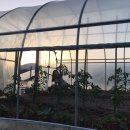 동촌농장 이미지