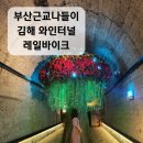 김해 와인터널 레일바이크 이용후기 / 부산근교 김해 가족과 나들이 갈만한 곳