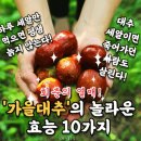 회춘의 열매 '가을대추'의 놀라운 효능 10가 이미지