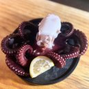 해야선술 이미지