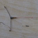 청조원2 이미지