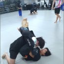 다이어트복싱킥복싱MMA우슈 | 전주 킥복싱 가격과 다이어트 효과: 로드FC 평화점 후기와 킥복싱 복싱 차이