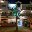 비비오네 이미지