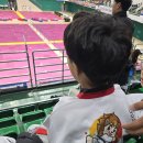 라이온태권도체육관 이미지