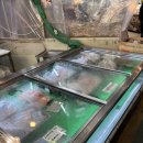 혜성닭집 이미지