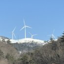 호민목장 이미지