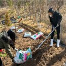 의왕정음학교 이미지