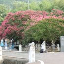 고려동유적지 이미지