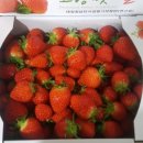 단산농장 이미지