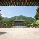 마장축산시장2-3 이미지