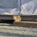 초막골 | 군포 초막골캠핑장 서울근교 글램핑 예약팁 및 후기