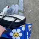 가락로63번길 이미지