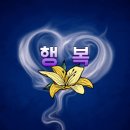 얀테의 법칙(Jante Law) 이미지