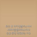 바디빈플러스 | 퇴근 후 바디빈플러스에서 서래마을필라테스까지! 운동 완전 만족하는 이유