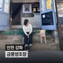 지에스25강화길상점 | 인천 강화 가볼만한 곳 | 술을 즐기지 않아도 즐거운 금풍양조장 나들이