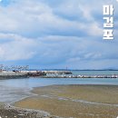태안 먹거리 물회 맛집 현지인 추천 마검포 해수욕장 선창 횟집