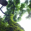 대암약수터 이미지