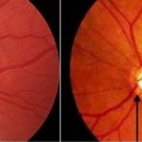 대신성모안과의원 이미지