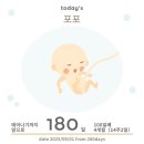 하이,포포 이미지