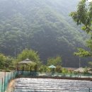 매룬통나무집 이미지