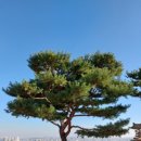 경성사 이미지