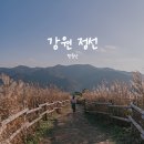 그늘과 빛의 기억  | 정선 민둥산 산행 후기 - 거북이 쉼터, 억새 능선, 돌리네까지