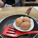 제주 연동 맛집 제원 양푼속 닭 한마리 추천 (밥술집으로 딱)