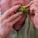 농부우렁쌈밥 이미지