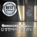 김정한 타이거 태권도장 이미지