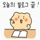 안산초등학교 이미지