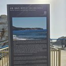 바다산책 | 강릉 가볼만한곳 정동심곡바다부채길 산책 후기 +주차
