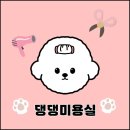 도그마캣시흥배곧점