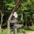 문경새재 도립공원 이미지