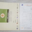 시바견 분양 루이몽 강남본점 네이버블로그