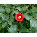 초록세상 이미지