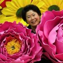 모란디자인
