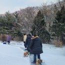 청평리조트앤에프씨웰니스센터 이미지