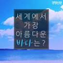 바다 이미지