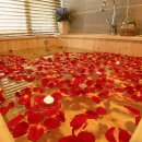 조은리조트 이미지