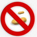 알레르기 이미지